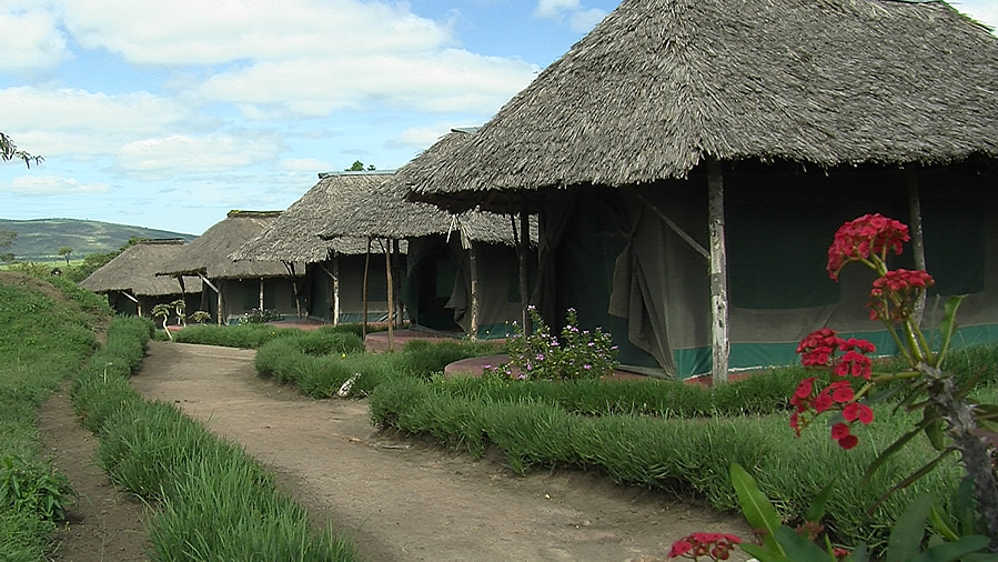 masai mara manyatta camp
